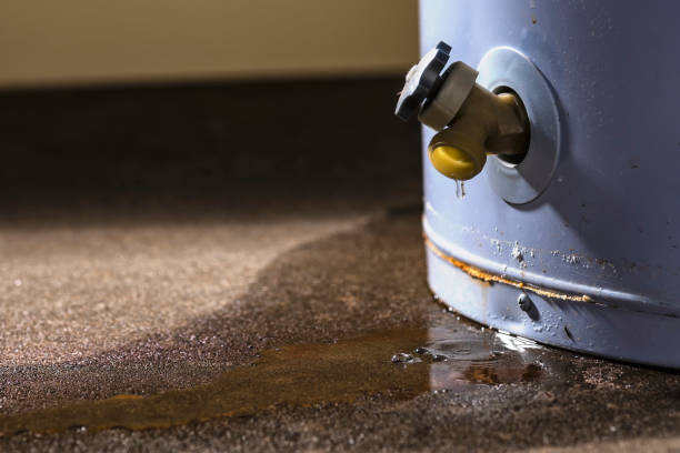 Best Carpet water damage restoration  in Baldwin, MI