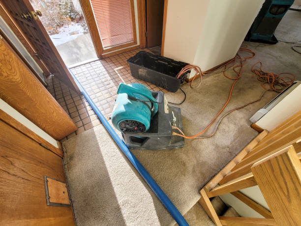 Best Commercial water damage restoration  in Baldwin, MI