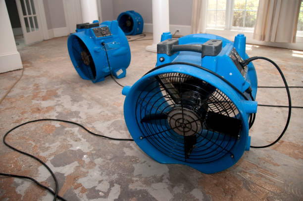 Best Water damage restoration near me  in Baldwin, MI