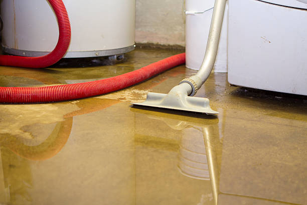 Best Ceiling water damage repair  in Baldwin, MI