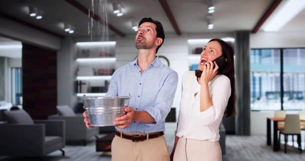 Best Mold removal after water damage  in Baldwin, MI