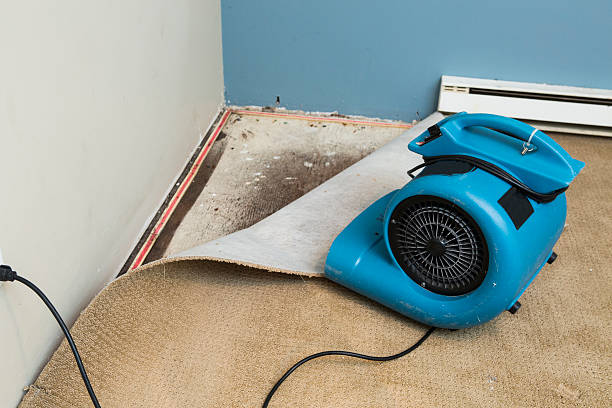 Best Flood restoration services  in Baldwin, MI